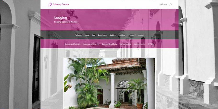 Alamos Sonora website designed and managed by iSynergies